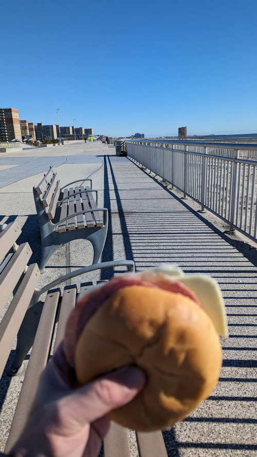 NYC_2024-02-06 11-33-28_PXL_20240206_163328099